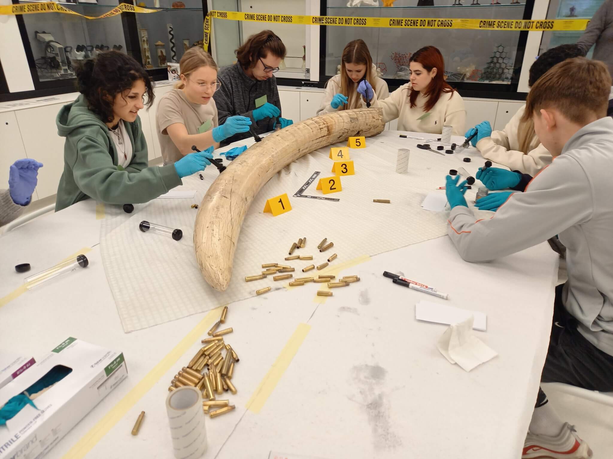 Schüler:innen bei einem Forensik-Workshop an einem weißen Tisch.